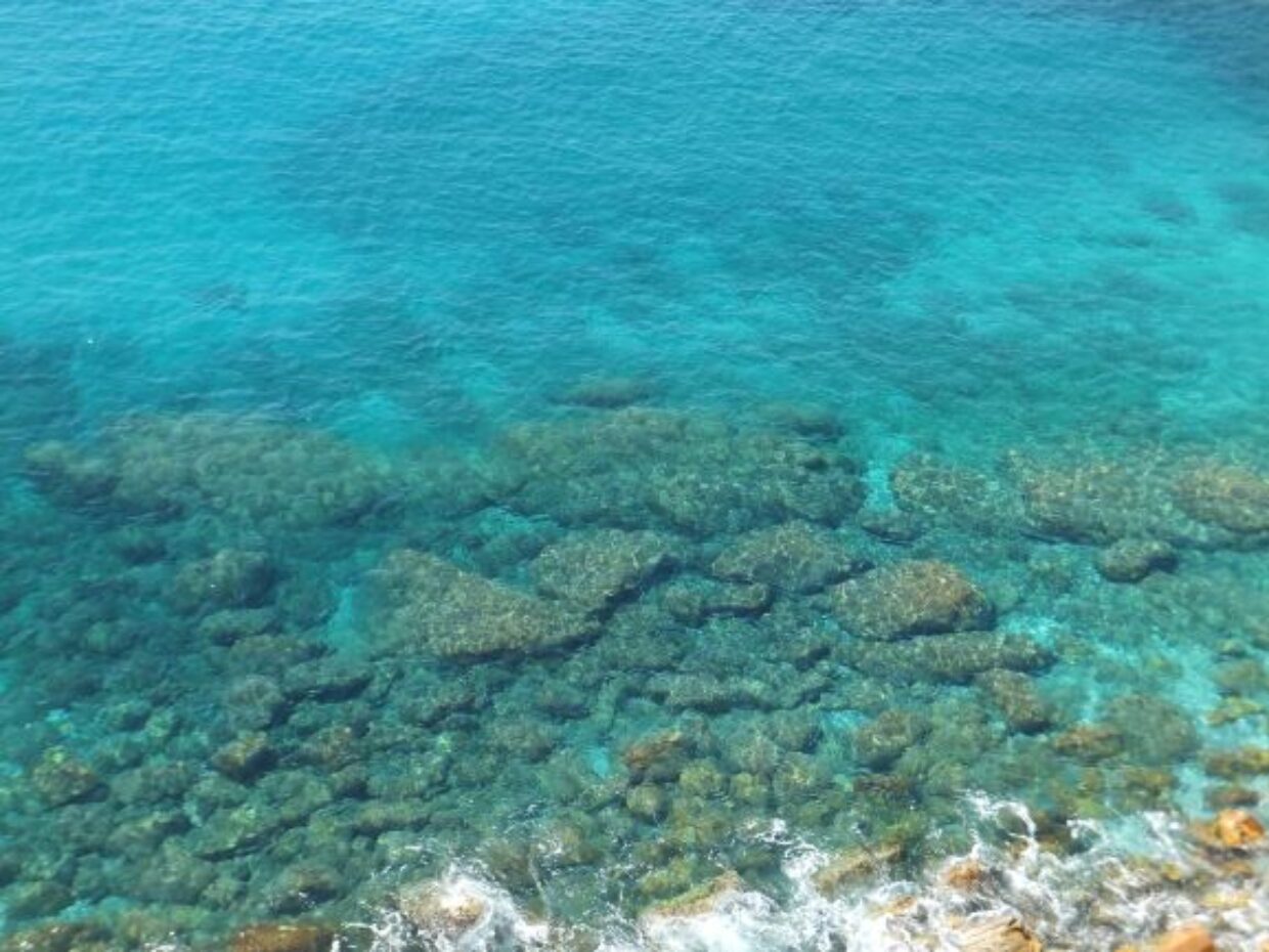 Mare, acque più trasparenti dopo il lockdown